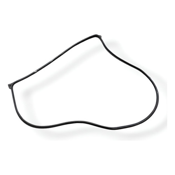 Borracha Porta Traseira Direita Nissan Versa 1.6 S 2019 2020 Preto