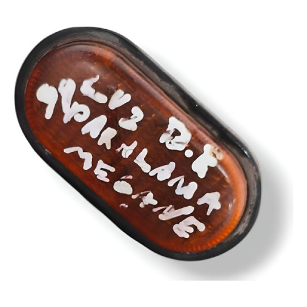 Luz Pisca Placa Dianteira Esquerda Renault Megane 1998/2000