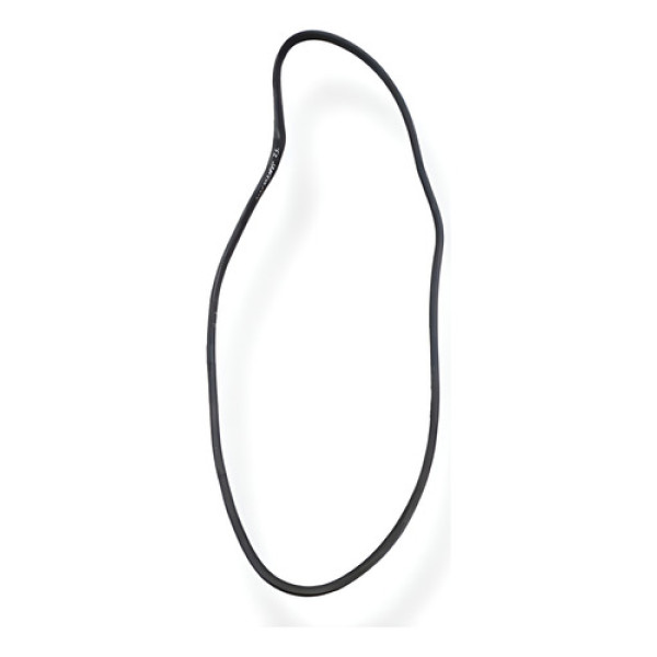 Borracha Porta Traseiro Esquerdo  Renault Sandero 2021 2022 Cinza