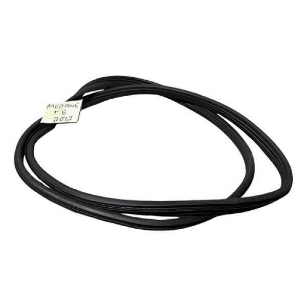 Borracha Porta Traseira Esquerdo Renault Megane Dyn 1.6 2011 Verde-escuro