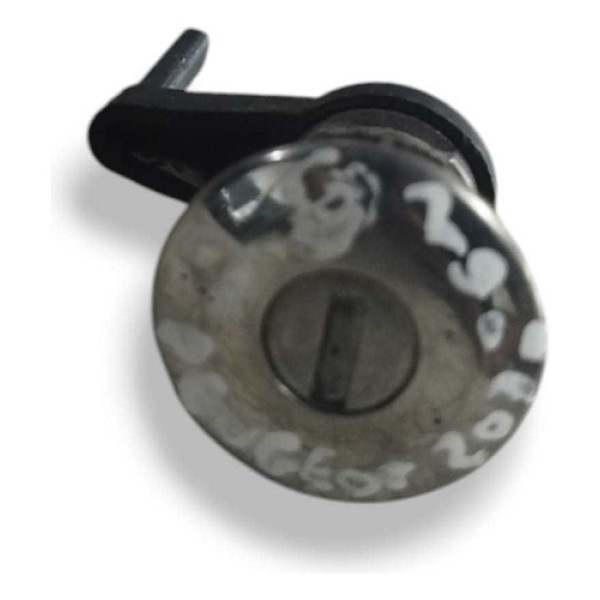 Miolo Porta Dianteira Direita Peugeot 207 Escapade 2005/2011