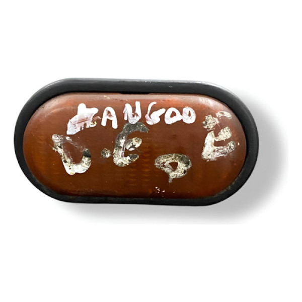 Pisca Para-lama Dianteiro Esquerdo Renault Kangoo 2004 2005 Prateado