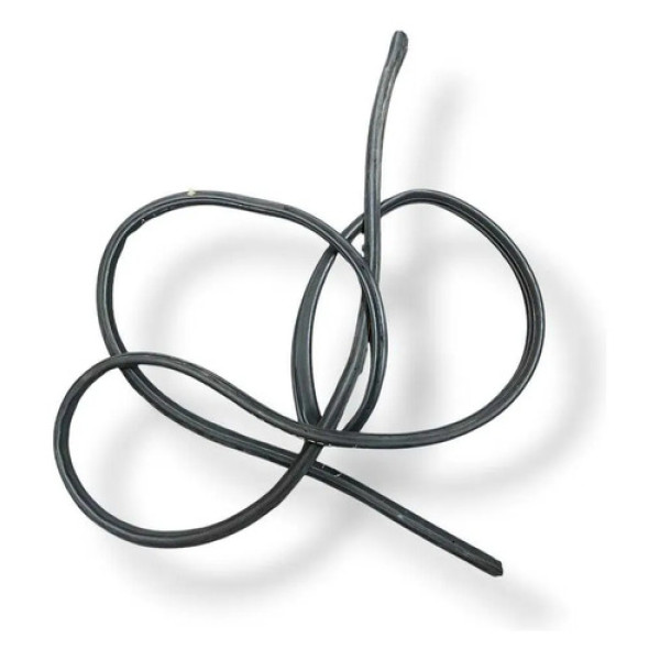 Borracha Porta Traseira Direita Ford Focus 2009 2010 2011 Preto