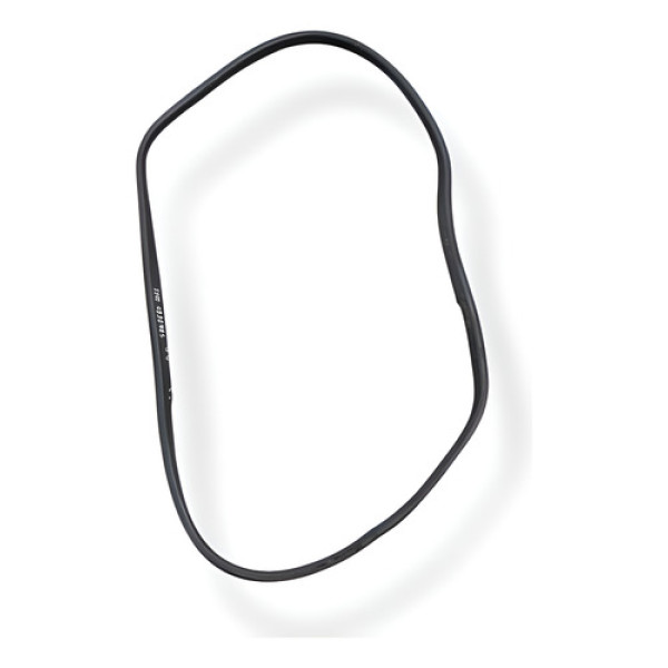 Borracha Porta Dianteira Direita Renault Sandero 2021 2022 Cinza