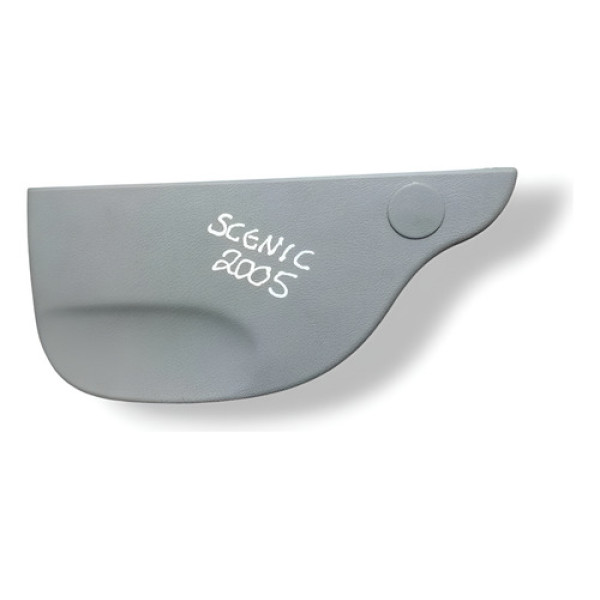 Acabamento Coluna Direito Renault Scenic 2005 9204226