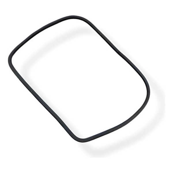 Borracha Vidro Vedação Traseria Esquerda Renault Kangoo 2004 Preto