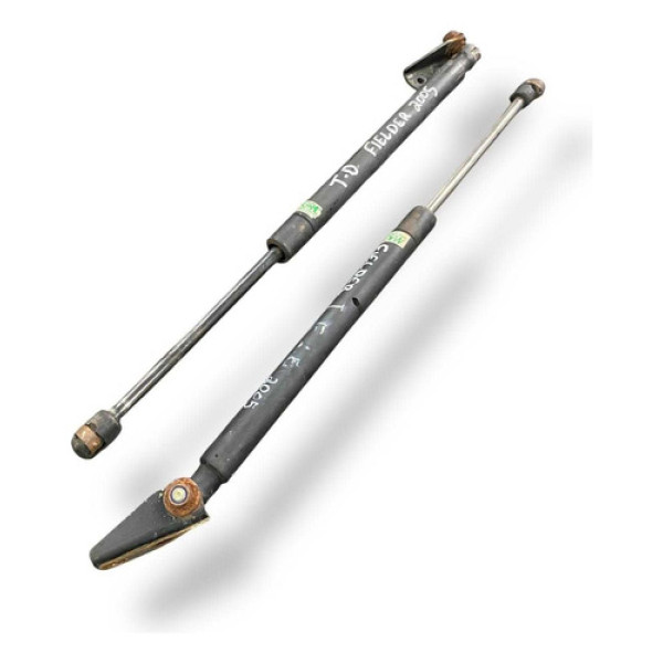 Par Amortecedor Tampa Traseira Toyota Fielder 2005  A 2008