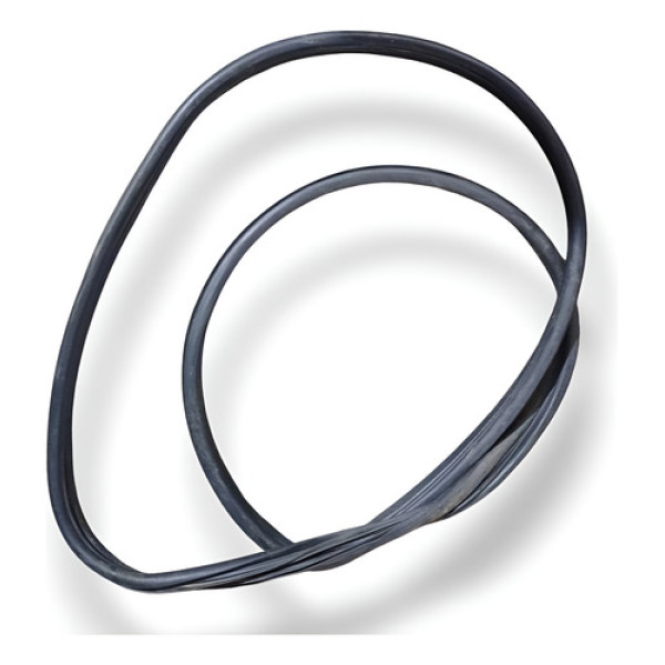 Borracha Porta Dianteira Esquerda Renault Megane 2.0 2010 Preto