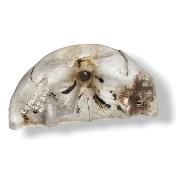 Defletor Calor Escape Citroen C4 Pallas 2008/2011 9655397780