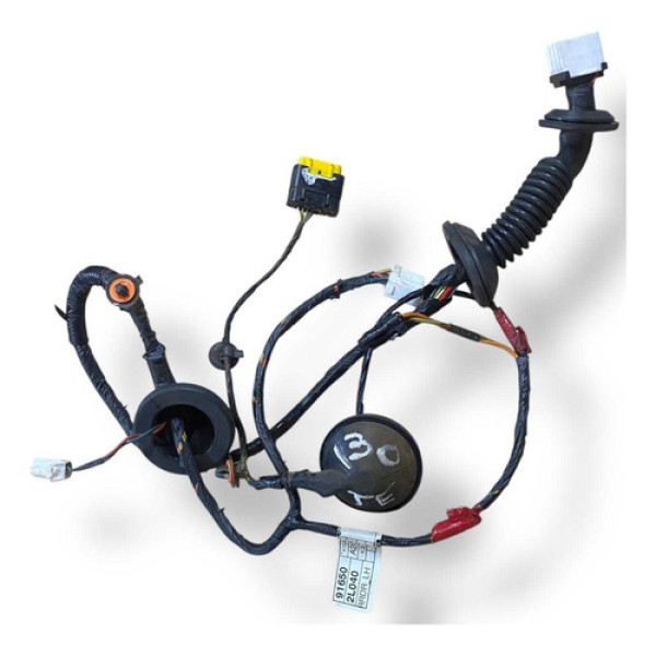 Chicote Porta Traseira Esquerda Hyundai I30 2010 916502l040