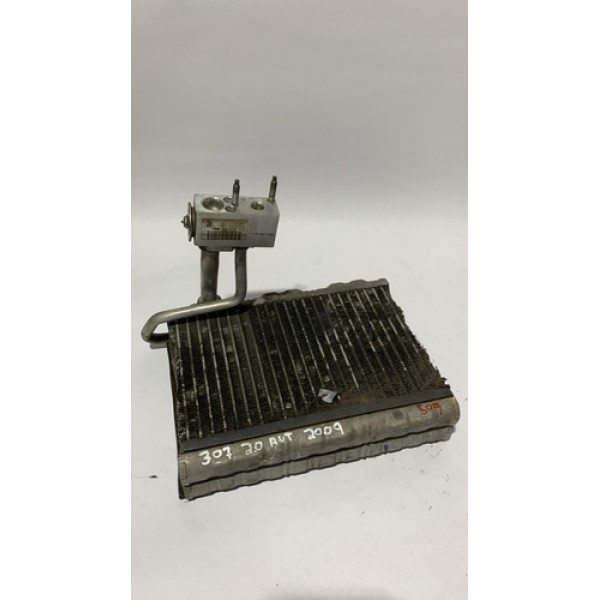 Radiador Ar Quente Peugeot 307 2.0 2009 7022845