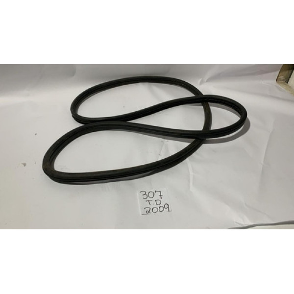  Borracha Porta Traseira Direita Peugeot  307 2010