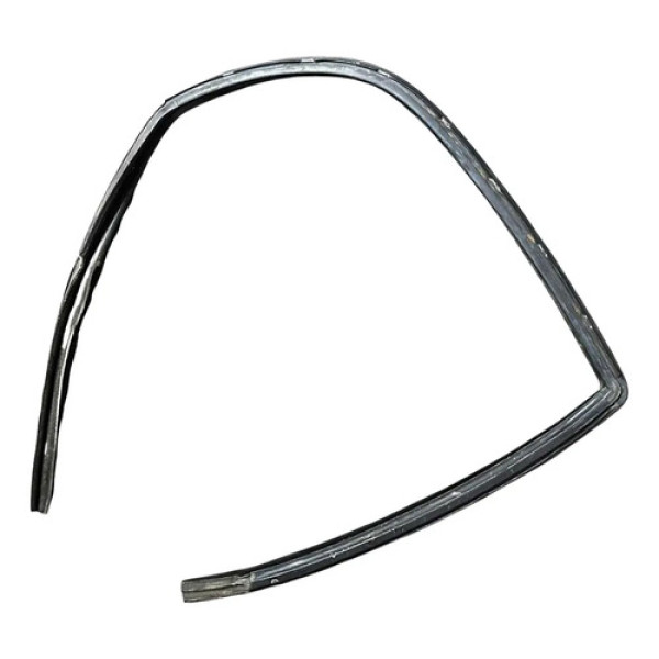 Borracha Vidro Porta Traseira Direita Fiat Palio 2008 2009