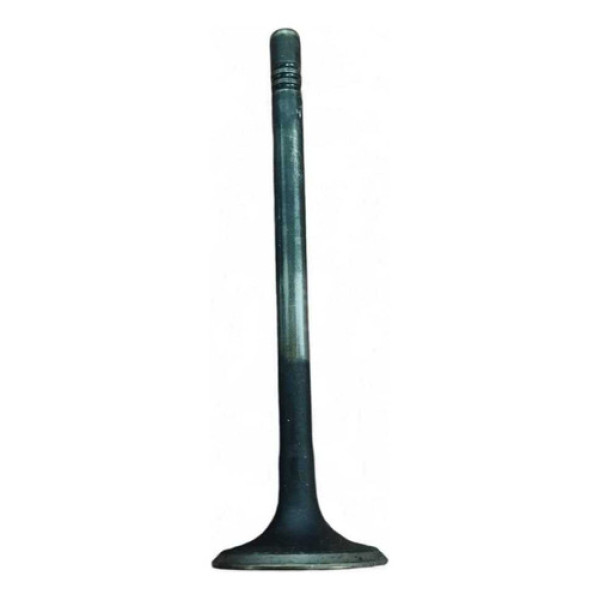 Válvula De Admissão Vw Gol G4 2007 Ea111 (unidade) Original