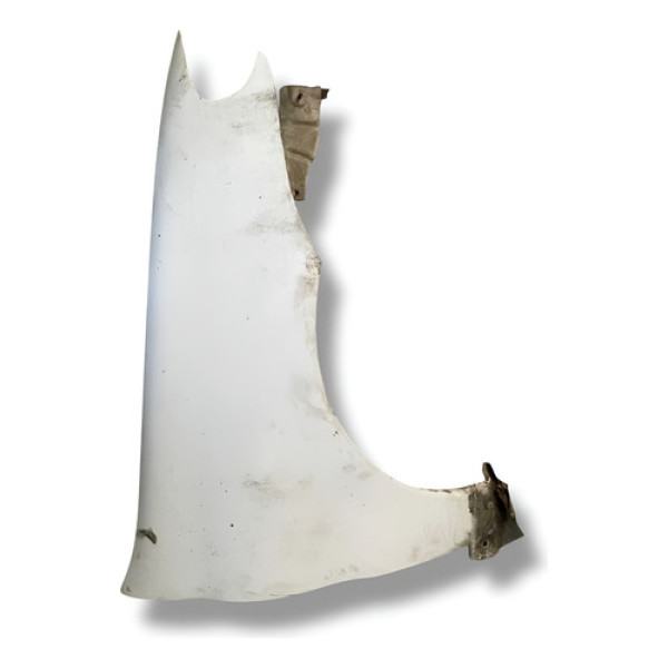 Paralama Dianteiro Direito Palio 2008 2009 2010 2011