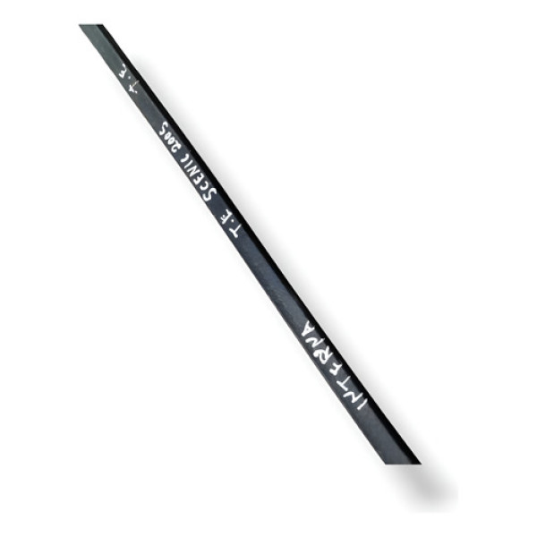 Pestana Interna Porta Traseiro Direito Renault Scenic 2005