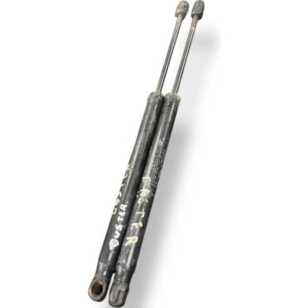 Par Amortecedor Tampa Traseira Duster 2013 4467030540n